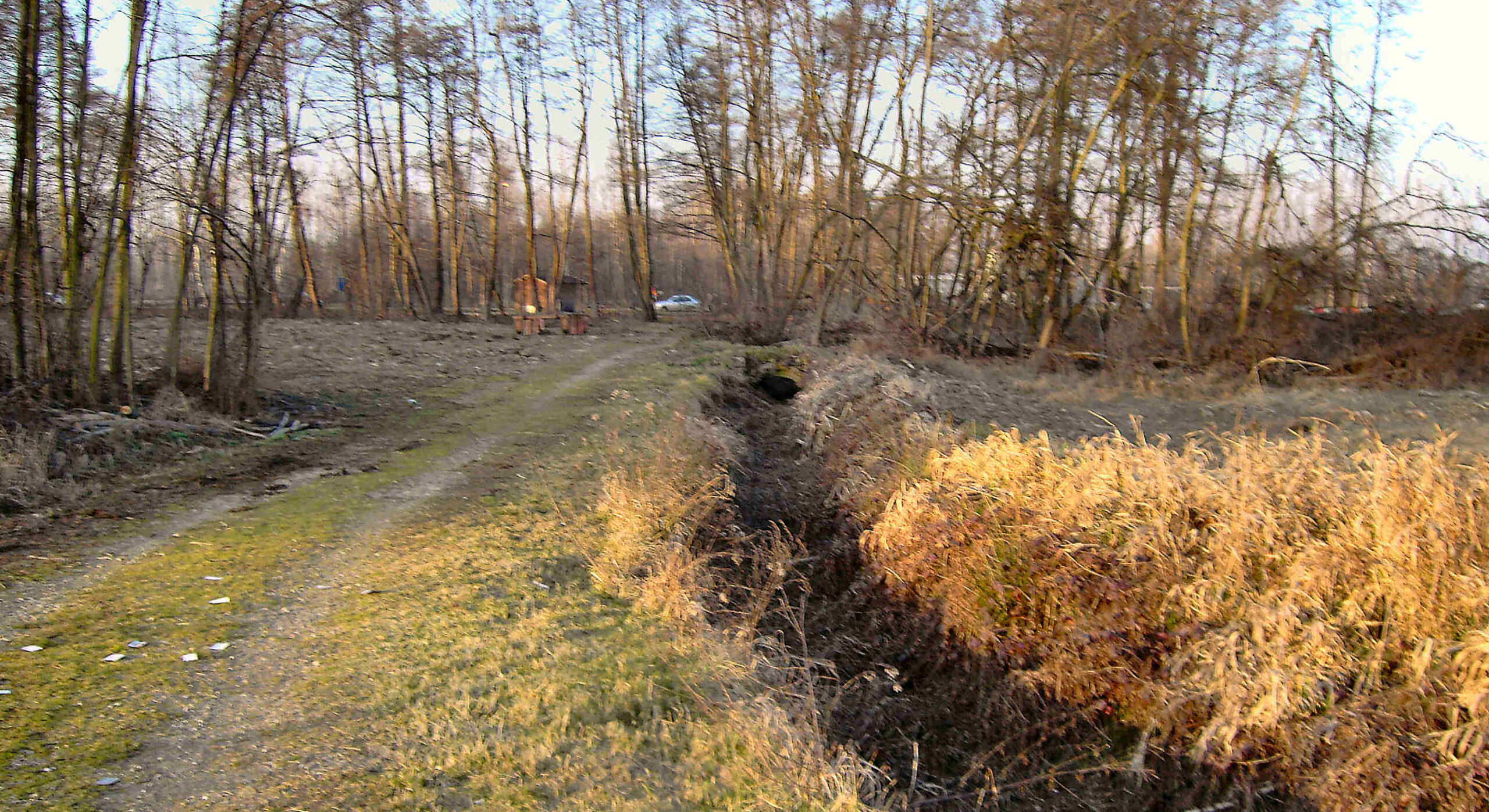 Come hanno ridotto il Bosco dell'Acqualunga